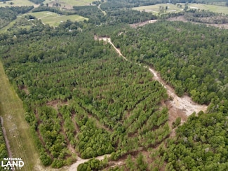 0 Pearce Dr Unit Lot C 22859525, Richton, MS 39476