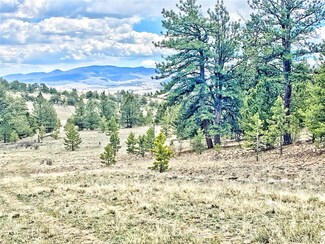 861 Hiawatha Dr, Hartsel, CO 80449