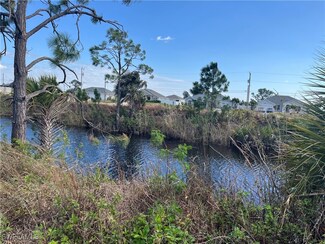 1010 NE 44th Ln, Cape Coral, FL 33909