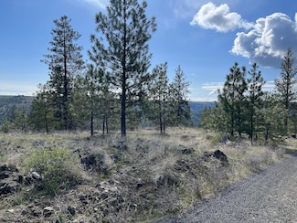 34430 N Partridge Ln N, Davenport, WA 99122