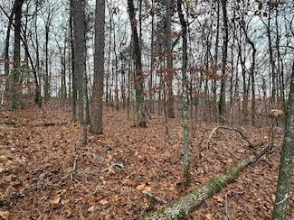 TBD Dogwood, Tull, AR 72015