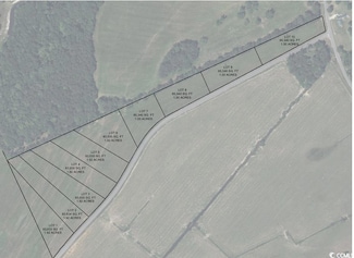 LOT 3 Gunters Island Rd, Galivants Ferry, SC 29544