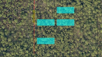 0 N 11th Ave, Avalon, FL 32583