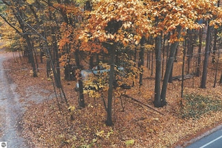 7967 Elm Ave, Lake Township, MI 49640