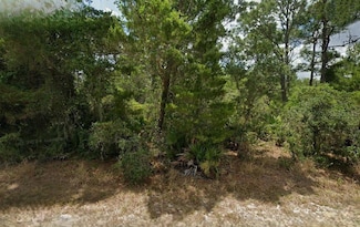 867 & 869 Letitia Dr, Sebring, FL 33875