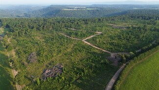 40 Acres Ross Mountain Rd, Pottsville, AR 72846