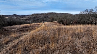 165+/- Acres Miess Rd, Dodgeville, WI 53533