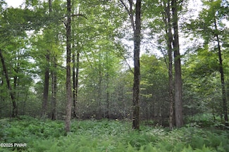 0 Bryn Mawr Rd, Honesdale, PA 18431