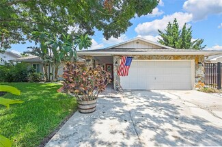 7924 Singing Court Place, Tampa, FL 33615