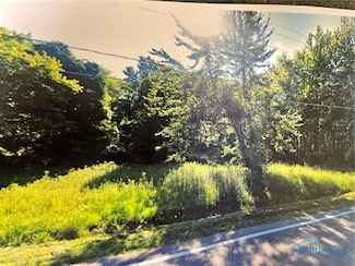 4303 S Berkey Southern Rd, Swanton, OH 43558