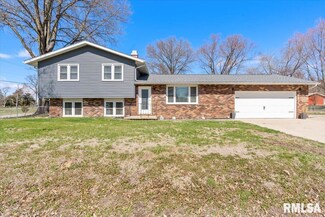 1 Holiday Ln Unit 1, Riverton, IL 62561