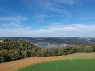 Lot 1 706th St, Pepin Township, MN 55981