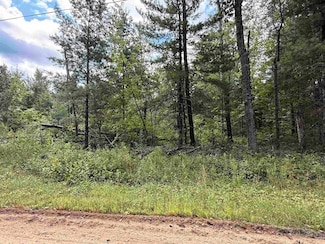 W1713 Big Sky Ct, Keshena, WI 54135