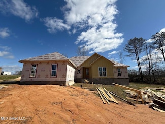 250 Higgins Rd, Sumrall, MS 39482
