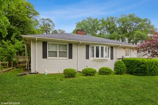 316 N Briggs St, Joliet, IL 60432