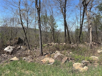 Lot 40 Peaceful Place, Harrison, AR 72601