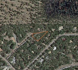 7543 Sunset Cir Unit 81, Pinetop, AZ 85935