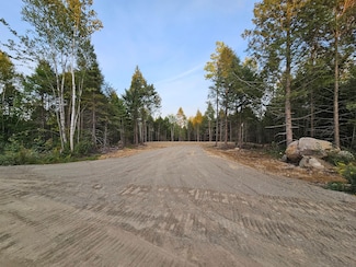 N Shore Rd, Lincoln, ME 04457