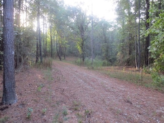 0 Dykes Rd Unit LotWP001 22398856, Prentiss, MS 39474