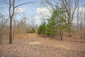 3944 Crawford Rd, Silver Point, TN 38582