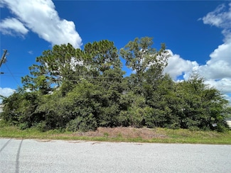 TBD SE 98th Ct, Summerfield, FL 34491