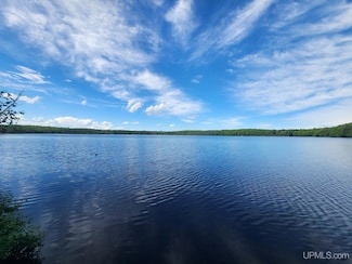 TBD Wildwood Lake Dr Unit Lots M & N, Iron River, MI 49935