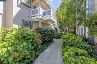 2685 Oak Rd Unit 254, Walnut Creek, CA 94597