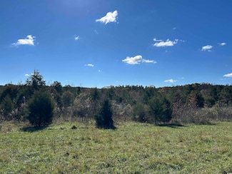 TBD River Fork Rd, Waterloo, SC 29653