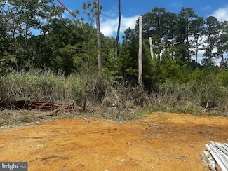 16252 Thomas Rd, Piney Point, MD 20674