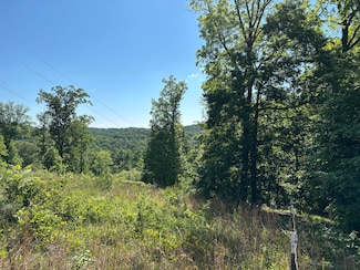 547 van Davis Lot 25 Rd NW, Georgetown, TN 37336