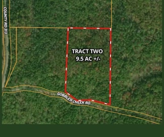 0 Gobbler Creek Rd Unit Tract 2 11528973, Wedowee, AL 36278
