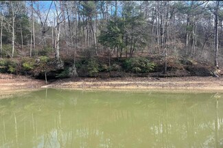Lot 41 Sipsey Overlook Dr, Double Springs, AL 35553