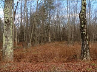 00 Nelson Rd, Ludlow, VT 05149