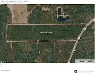 0 N Pat Thomas Pkwy Unit 379332, Quincy, FL 32351