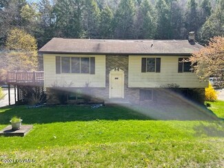 1537 Turkey Bottom Rd, Muncy, PA 17756