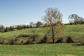 Tract 4 E 425th Rd, Fair Play, MO 65649