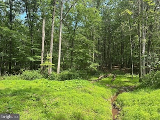 5.73 AC Anthony Bohrer Rd, Slanesville, WV 25444