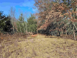19.54 AC Luedtke Rd, La Valle, WI 53941