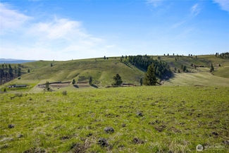 8 Lot Bettas Rd, Cle Elum, WA 98922
