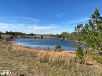 00 County Road 137, Abbeville, AL 36310