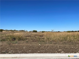 1837 Dorian Dr, Salado, TX 76571