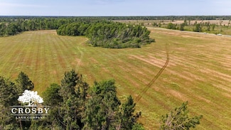0 Highway 56, Midville, GA 30441
