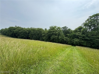 0 Johnson Hill Rd, Newcomerstown, OH 43832