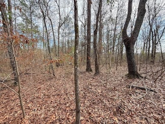 Quail Ct, Wilsonville, AL 35186
