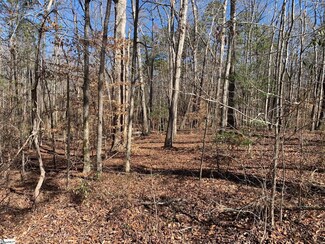 00 Chapman Grove Rd, Pelzer, SC 29673