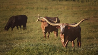 12301 N Holland St, Eustace, TX 75124