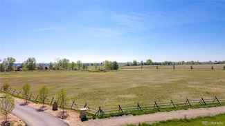 11558 Eagle Springs Trail, Longmont, CO 80503