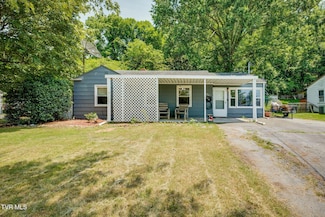 314 Orleans St, Johnson City, TN 37601