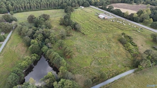 28 Acres County Road 278, Blountsville, AL 35031