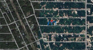 3004 Tyler St W, Inverness, FL 34453